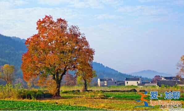 10月份中国最美的地方，你想去哪里？？