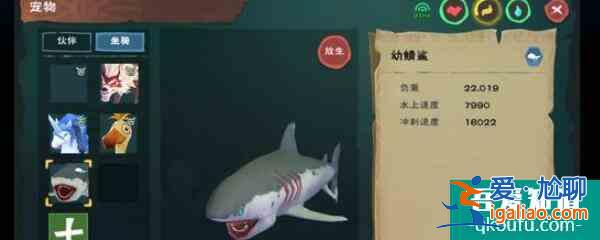 创造与魔法小鲨鱼怎么捕捉? 创造与魔法小鲨鱼怎么捕捉?