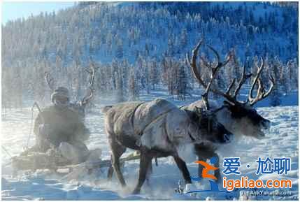 全世界最冷的地方，居然不在北极圈！？