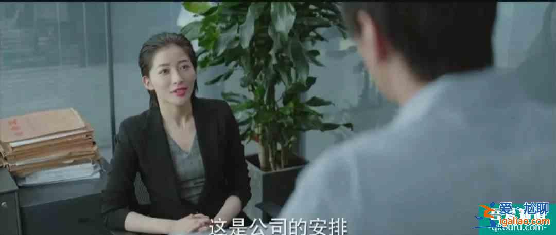 双男主职场剧《平凡的荣耀》：赵又廷白敬亭师徒组合形象大改？
