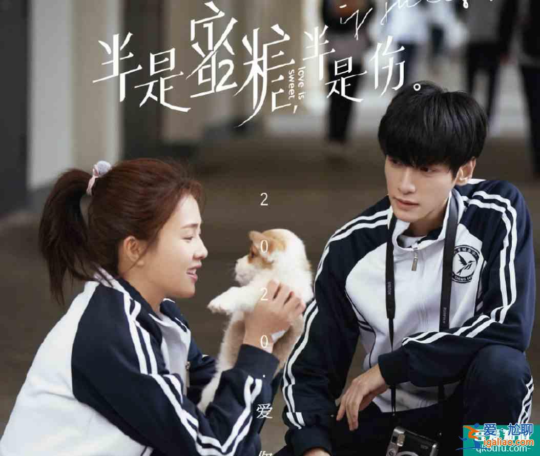 《半是蜜糖半是伤》预告，罗云熙白鹿高甜互动，光看画面就姨母笑？