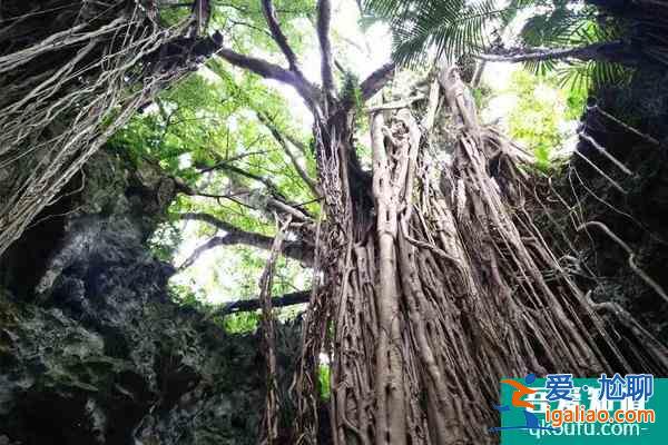冲绳冬天冷吗 冲绳冬天旅游攻略？