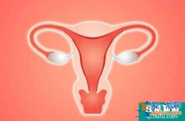 试管婴儿移植两个囊胚，怀双胎的成功率是多少？？