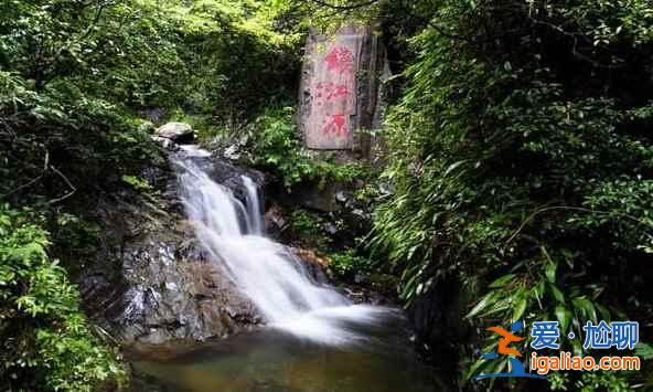 中国的亚马逊雨林，摄影师的天堂？