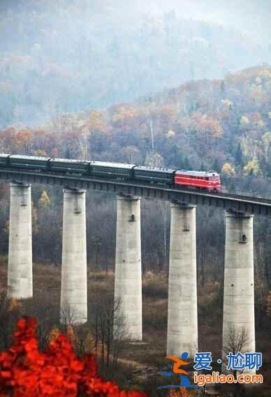 坐上开往长白山的绿皮火车，遇见最美的秋天？