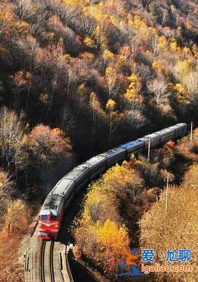 坐上开往长白山的绿皮火车，遇见最美的秋天？