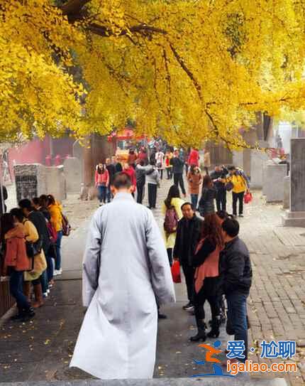 中国佛教的禅宗祖庭，少林武术的发祥地——少林寺？