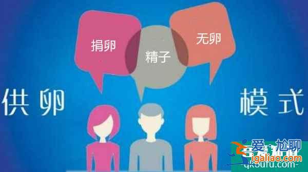 高龄失独家庭赴美做试管婴儿，有哪些注意事项？？