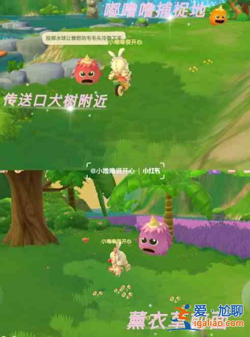 摩尔庄园怎么和拉姆玩耍？凯文老师特训任务完成攻略？