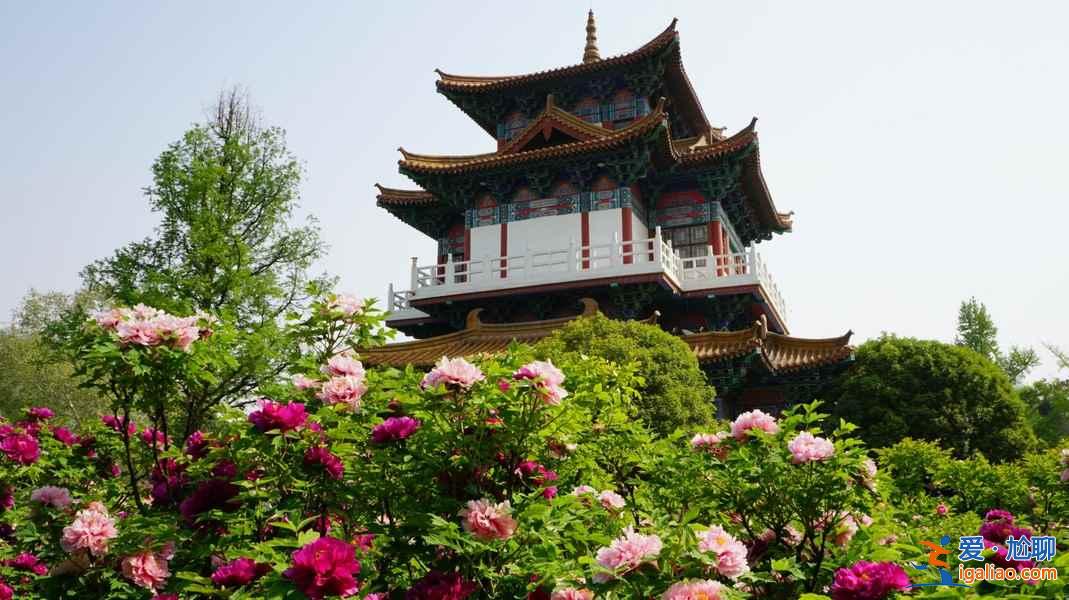 洛阳免费景点,洛阳免费景点推荐? 洛阳免费景点,洛阳免费景点推荐?