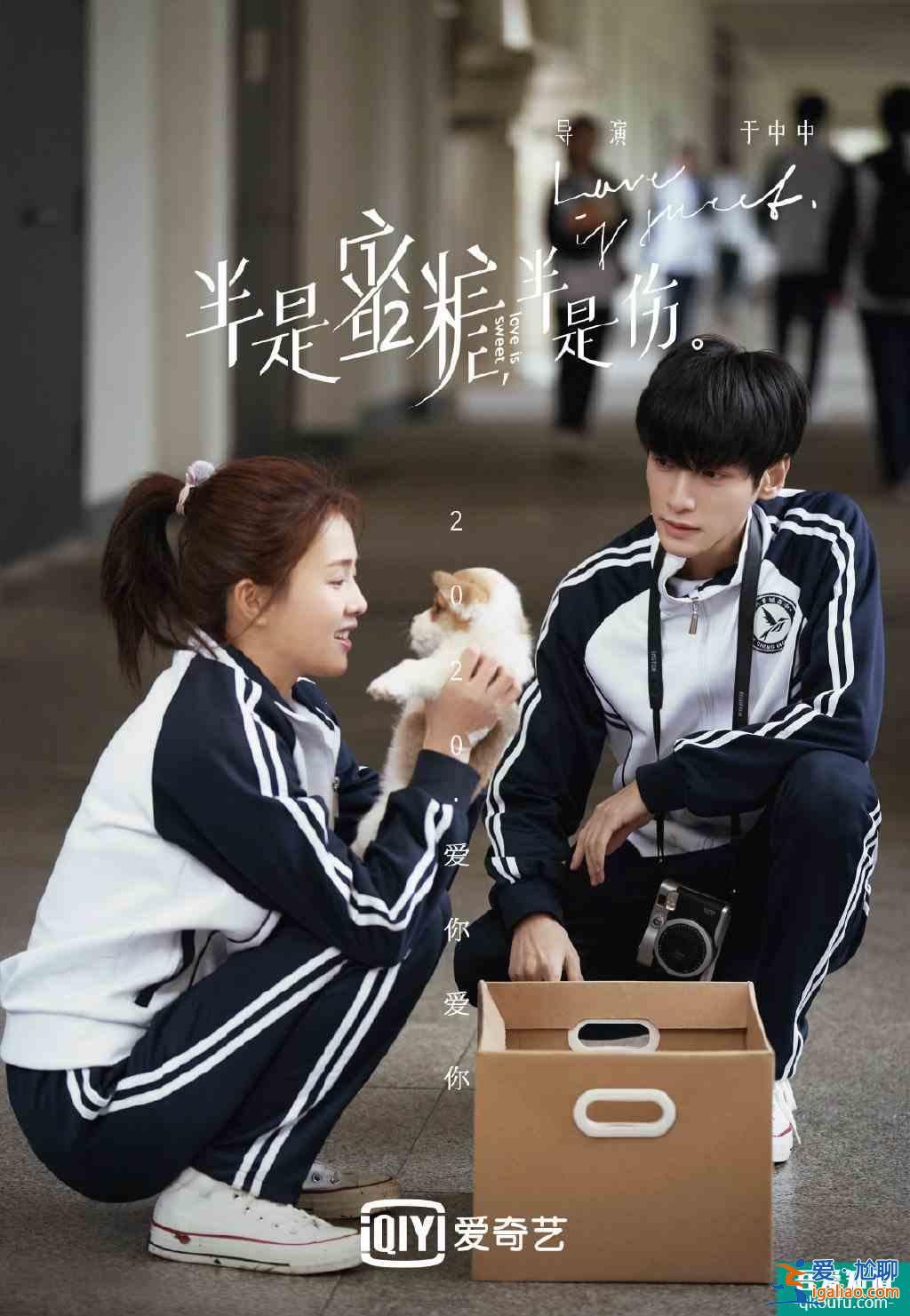 罗云熙、白鹿《半是蜜糖半是伤》，集爱情、豪门、商战的极致暖心？
