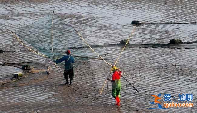 中国最美的渔村——福建霞浦？