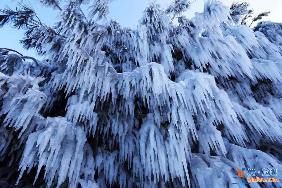 从雪乡穿越雪谷时间，雪乡到雪谷穿越路线？