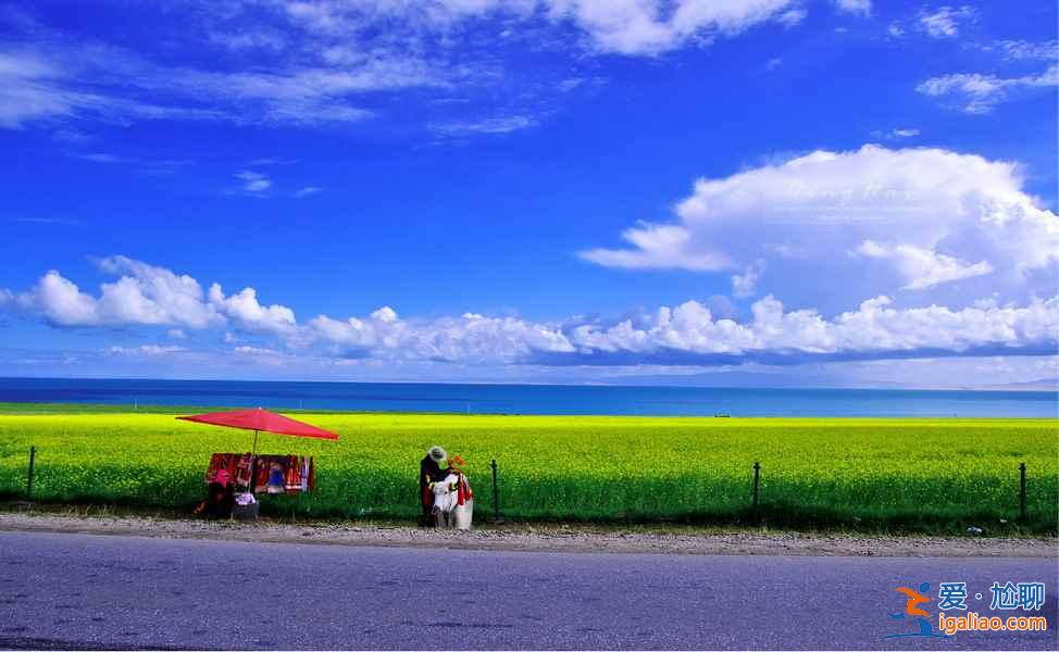 夏日青海，色彩盛宴：最美不过如此？