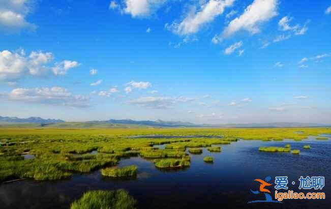 中国最美的沼泽湿地：若尔盖湿地？
