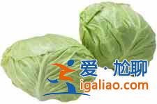 包菜粉丝？