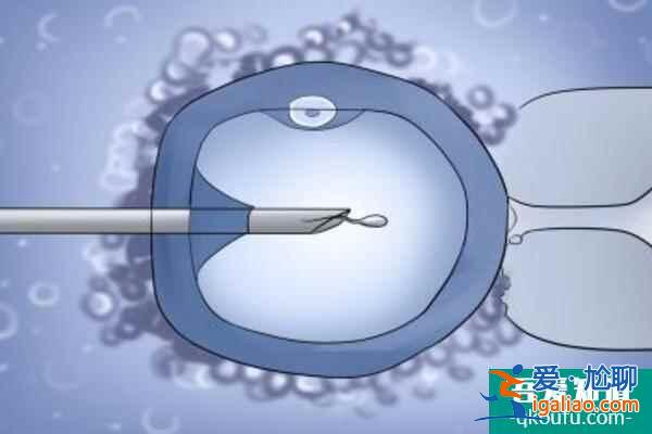 试管婴儿囊胚移植成功率与子宫内膜有何关系？？
