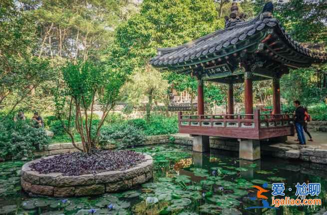 广州最美赏花地，去“花城”看花吧！？