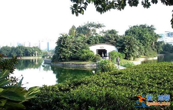 广州最美赏花地，去“花城”看花吧！？