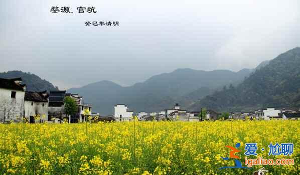 婺源有什么好玩的，婺源景点大盘点？
