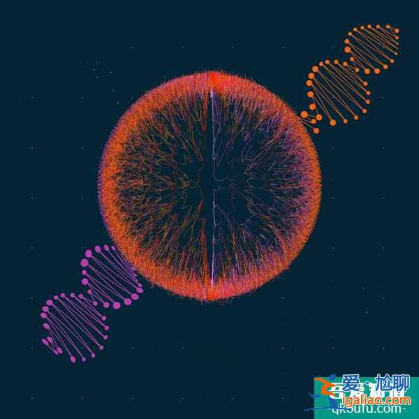 探秘去做试管婴儿蕴含的四大优势? 探秘去做试管婴儿蕴含的四大优势?