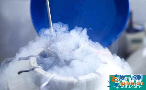 试管婴儿冻胚移植比鲜胚的成功率更高吗？？