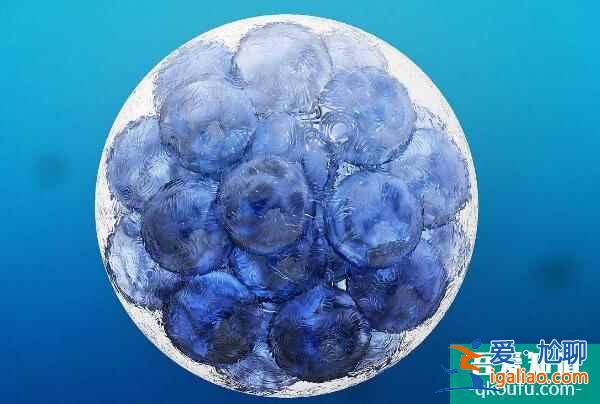 单角子宫对生育的影响？