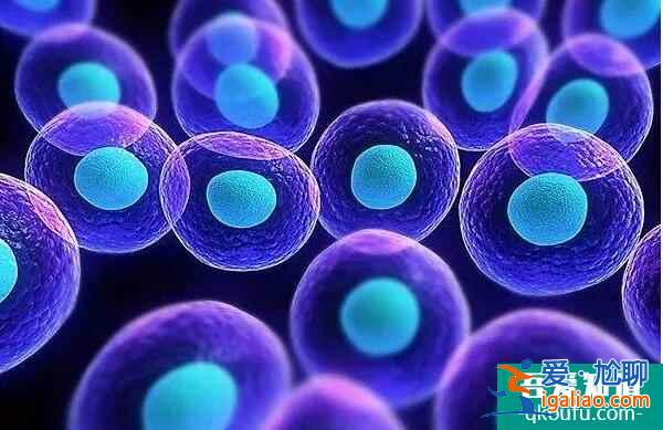 单角子宫对生育的影响？