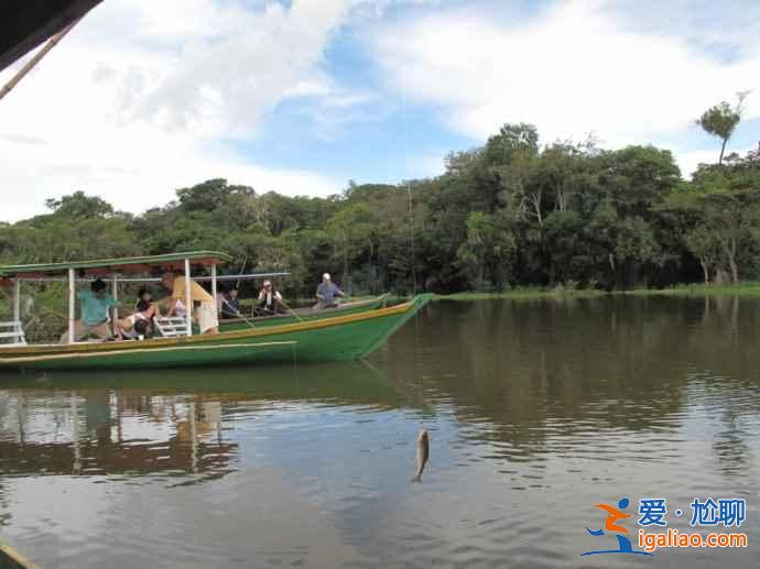 垂钓食人鱼，亚马逊河上的一个特色旅游项目？