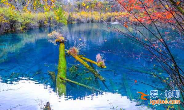 川西，四川最迷人的地区【海量美图】？