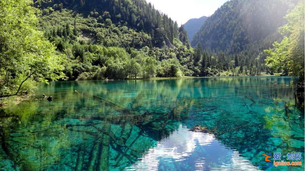 镜头下的九寨沟，九寨沟取景地？