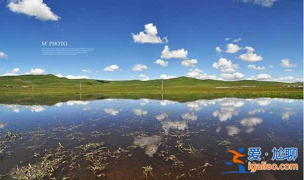 中国最美的沼泽湿地——若尔盖？