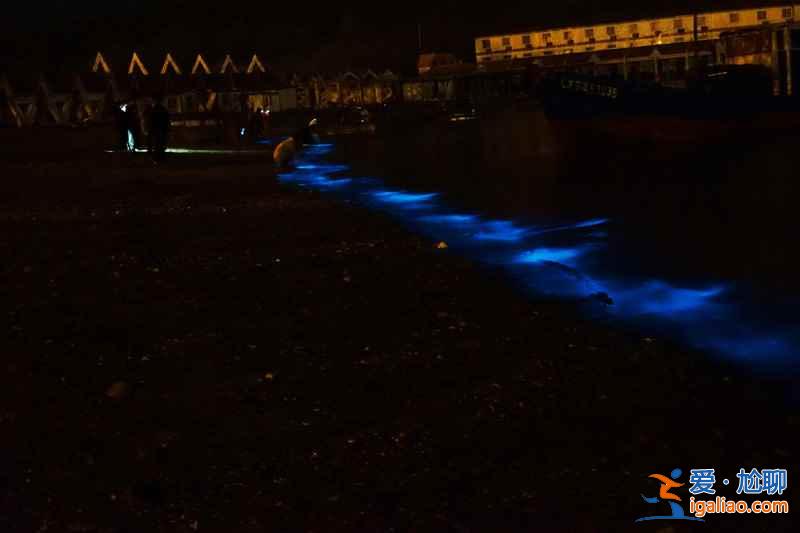 大连荧光海滩在哪里,大连荧光海滩能持续多久? 大连荧光海滩在哪里,大连荧光海滩能持续多久?