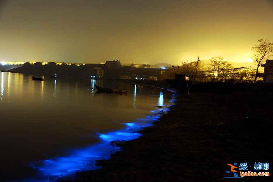 大连荧光海滩在哪里,大连荧光海滩能持续多久? 大连荧光海滩在哪里,大连荧光海滩能持续多久?
