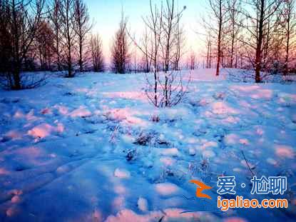一路向北 纵驰人生——自驾满洲里，追逐最美雪景？