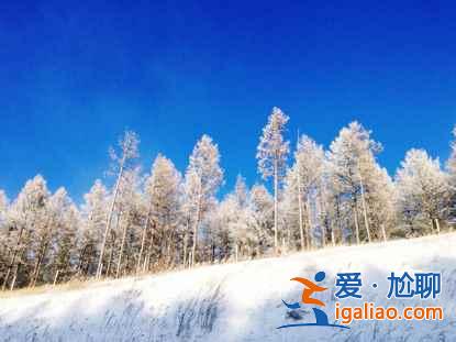 一路向北 纵驰人生——自驾满洲里，追逐最美雪景？