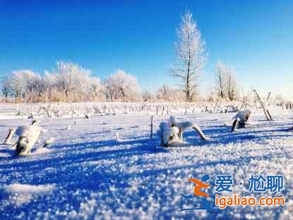 一路向北 纵驰人生——自驾满洲里，追逐最美雪景？