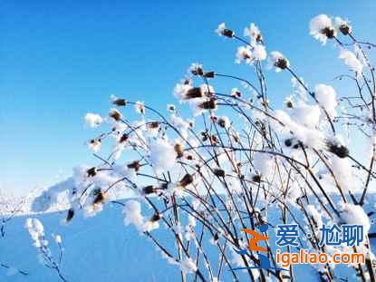 一路向北 纵驰人生——自驾满洲里，追逐最美雪景？