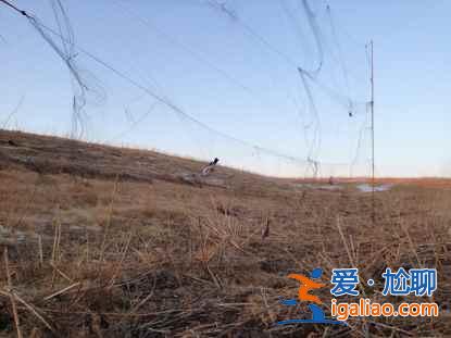 一路向北 纵驰人生——自驾满洲里，追逐最美雪景？