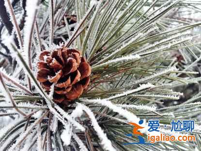 一路向北 纵驰人生——自驾满洲里，追逐最美雪景？