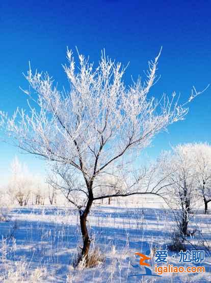 一路向北 纵驰人生——自驾满洲里，追逐最美雪景？