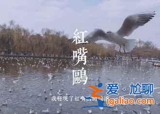 昆明八景有哪些,一起来数数? 昆明八景有哪些,一起来数数?