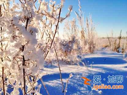 一路向北 纵驰人生——自驾满洲里，追逐最美雪景？