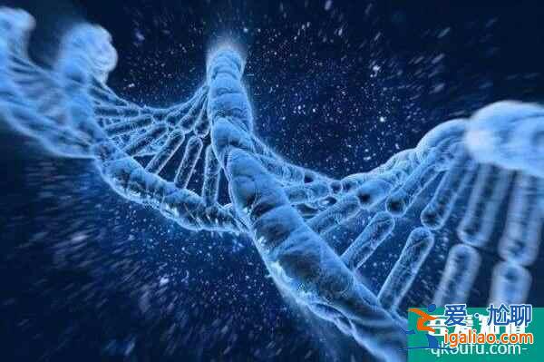 试管婴儿可以解决哪些生育难题？？