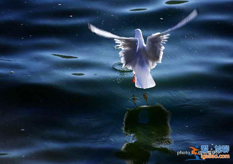 昆明八景有哪些,一起来数数? 昆明八景有哪些,一起来数数?