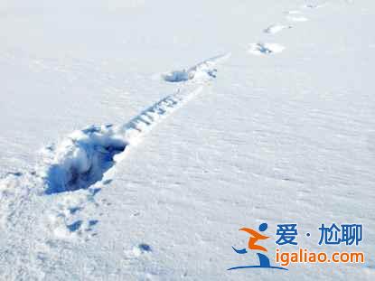 一路向北 纵驰人生——自驾满洲里，追逐最美雪景？