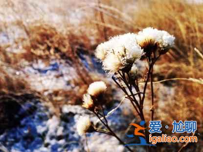 一路向北 纵驰人生——自驾满洲里，追逐最美雪景？