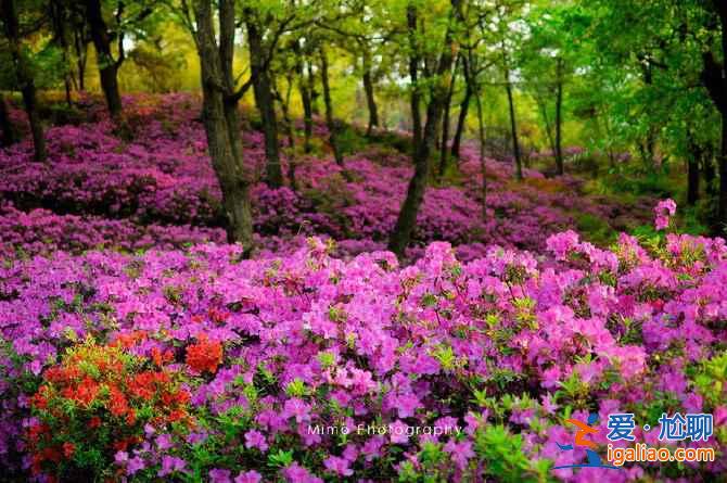 昆明八景有哪些,一起来数数? 昆明八景有哪些,一起来数数?