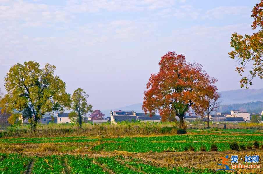 桃花源里，有个塔川（摄影圣地）？