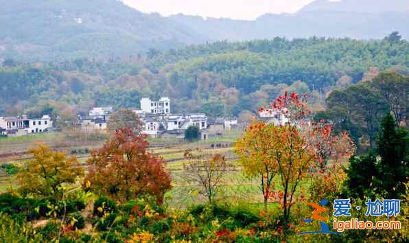 桃花源里，有个塔川（摄影圣地）？